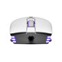 Souris Gaming Evga X12