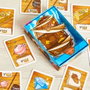 Tranjis Games SL Jeu de Cartes Capitaine Bacon – Jeu de Société Familial à partir de 8 ans, 2 à 6 Joueurs, 15 Minutes