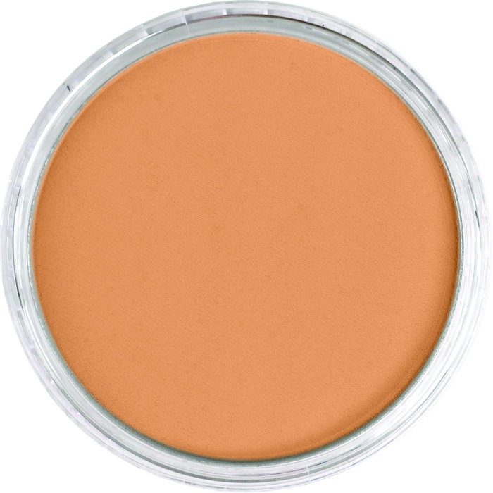 Panpastel 930.5 Bronce
