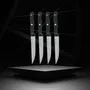 Nirosta - Lot de 4 couteaux à steak Mega 21 cm - Lame en acier inoxydable Nirosta, manche POM ergonomique - Pour viande et pizza