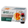 OPKO Europe Artilane Classic 15 monodoses buvables