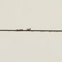 BigBuy Home Meuble d'Entrée Blanc Naturel 104 x 50 x 78 cm