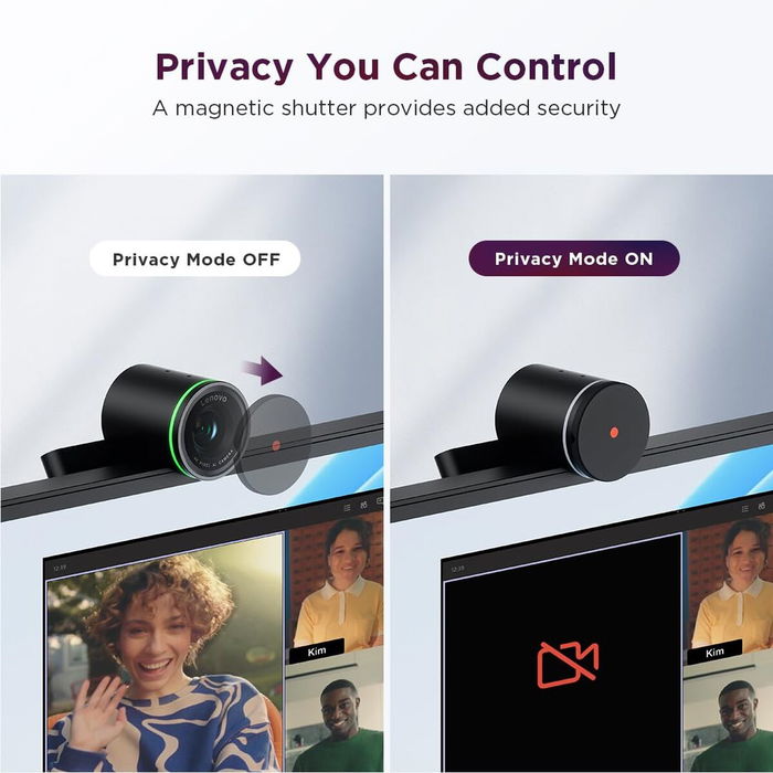 Lenovo 4XC1Q25245 - Webcam QHD pour ordinateur, résolution 2560 x 1440, Noir