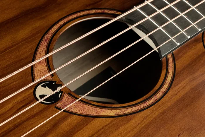 LAG Bajo Acústico Jumbo A/E Sauvage