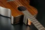 LAG Bajo Acústico Jumbo A/E Sauvage