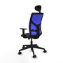 Piqueras y Crespo Chaise de Bureau Motilla Noir et Bleu