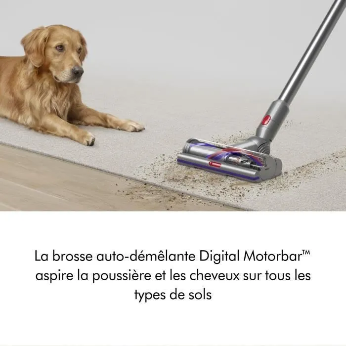Dyson V15 Detect Absolute Aspirateur Balai Nickel, jaune