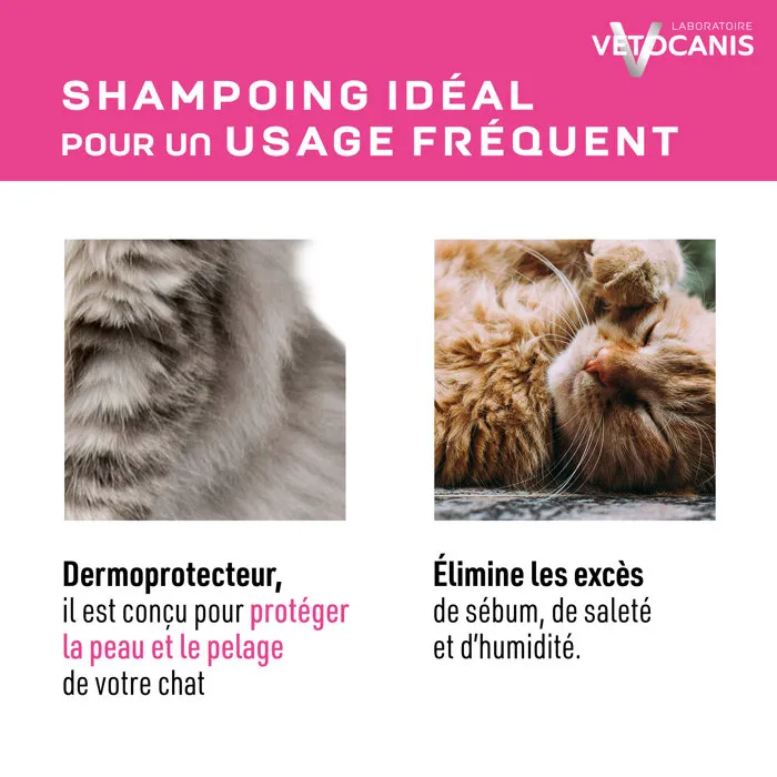 VETOCANIS - Shampoing pour chat 300 ml - Sans parabène, à la glycérine végétale - Poil doux et brillant