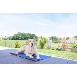 Kerbl - Tapis rafraîchissant pour chien CoolRelax - 50 x 40 cm - Bleu - Gel rafraîchissant - Usage intérieur et extérieur
