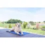 Kerbl - Tapis rafraîchissant pour chien CoolRelax - 50 x 40 cm - Bleu - Gel rafraîchissant - Usage intérieur et extérieur