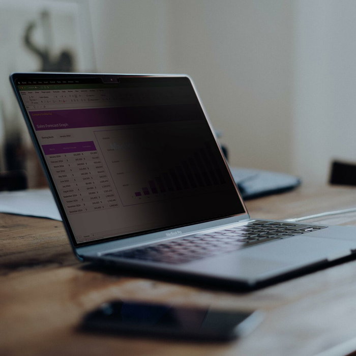 Support pour Ordinateur Portable Startech 141T6-PRIVACY-SCREEN Plastique