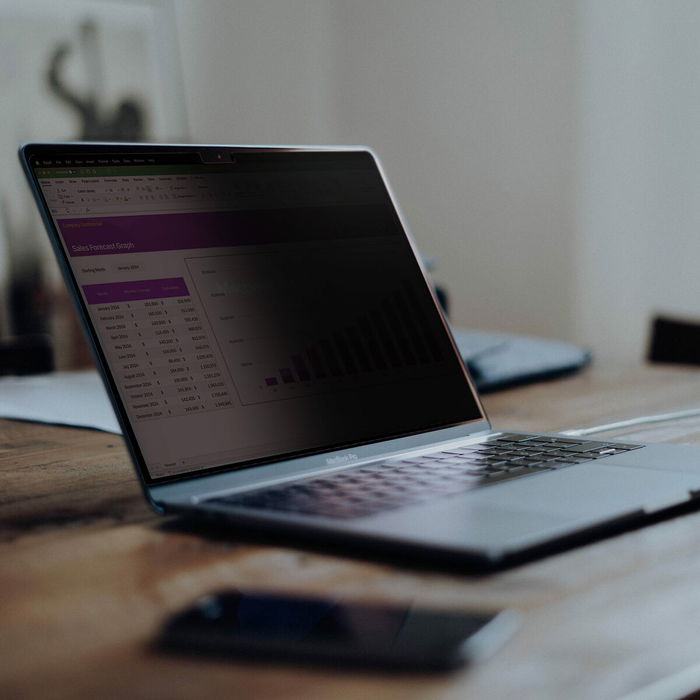 Support pour Ordinateur Portable Startech 141T6-PRIVACY-SCREEN Plastique