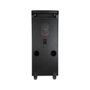 Phoenix technologies BigBoss XL 300W RMS
