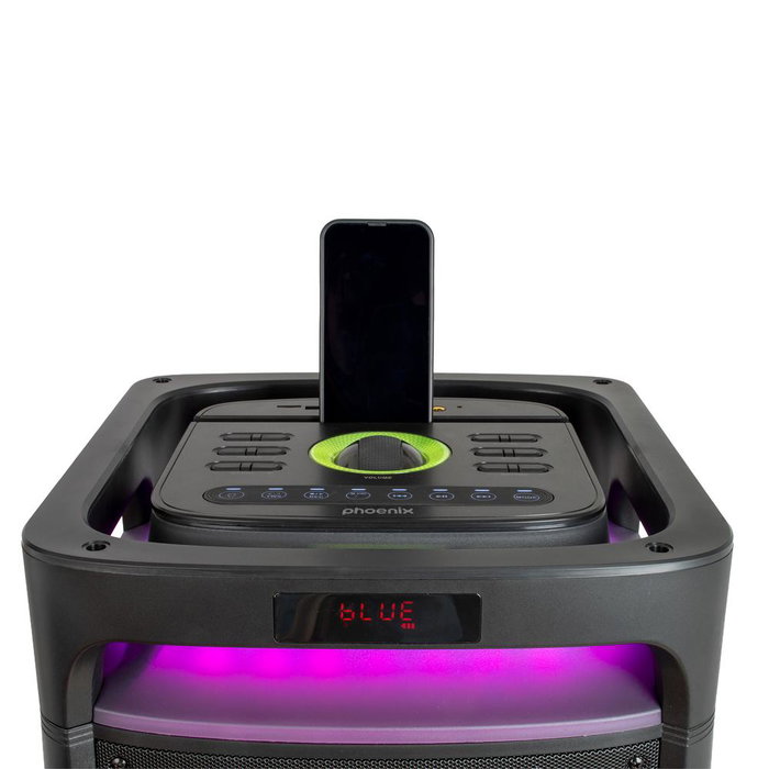 Phoenix technologies BigBoss XL 300W RMS