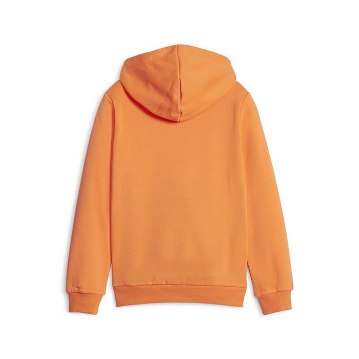 Sweat à capuche enfant Puma Ess