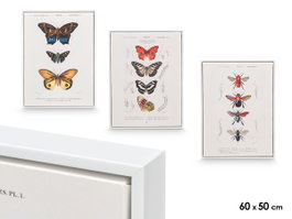 GIFTDECOR Lot de 3 Tableaux sur Toile avec Cadre Blanc - Motifs Papillons Assortis