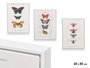 GIFTDECOR Lot de 3 Tableaux sur Toile avec Cadre Blanc - Motifs Papillons Assortis