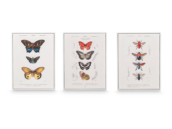 GIFTDECOR Lot de 3 Tableaux sur Toile avec Cadre Blanc - Motifs Papillons Assortis