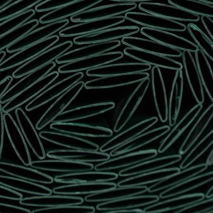 Nature - Canisse PVC double face occultante 4/5, 1 x 3 m, 1600 g/m², anti-UV, vert, fabriquée à 50% de matériaux recyclés