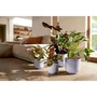 ELHO Pot de fleurs Jazz Rond Violet - Diamètre 34.5 cm Hauteur 32 cm - Intérieur - 100% recyclé - Garantie 3 ans