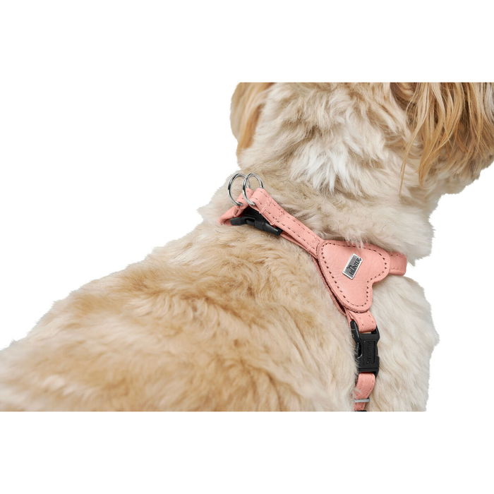 Harnais pour Chien Hunter SOHO MINI Rose XS/S