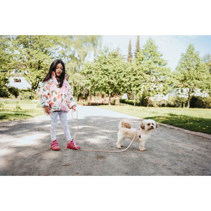 Harnais pour Chien Hunter SOHO MINI Rose XS/S