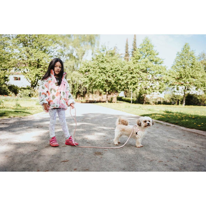 Harnais pour Chien Hunter SOHO MINI Rose XS/S