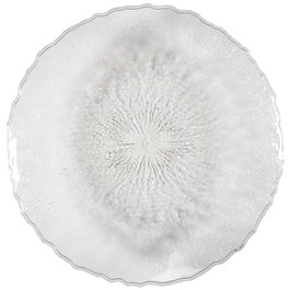 Home Deco Factory Plateau de service MIRAGE 42,5 cm en plastique PET