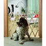 Nordlinger Pro - Stopfix - Barrière Extensible en Bois pour Chien 60-110 cm