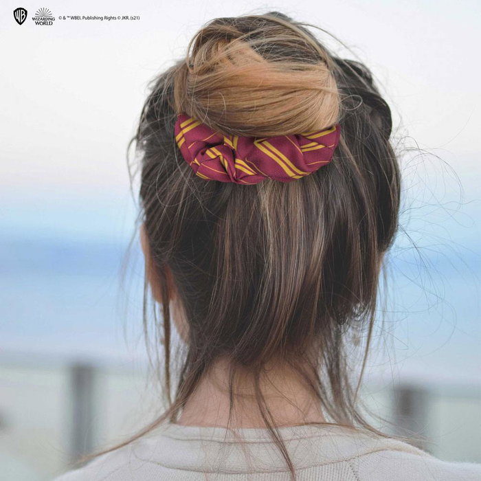 Harry Potter set 2 accessoires pour cheveux Classic Gryffondor