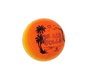 Unice Pelota volley playa rainbow 220 mm - Ballon de volley de plage, multicolore, PVC, diamètre 220 mm, pour enfants de 3 à 12 ans