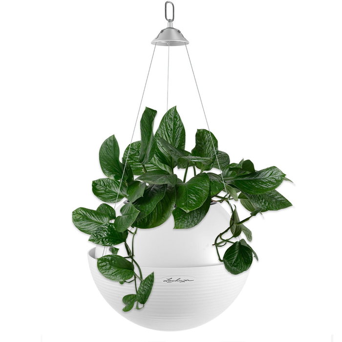 Lechuza BOLA Color 32 ALL-IN-ONE Blanc