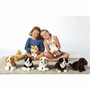 Gipsy Toys Chien Berger Australien Assis - 25 cm