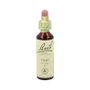Bach Original Fleurs de Bach Vine 20 ml