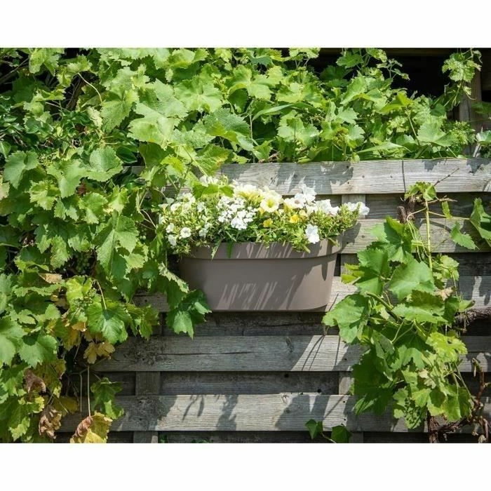 Garden Id Jardinière Star Taupe 50 x 21 cm