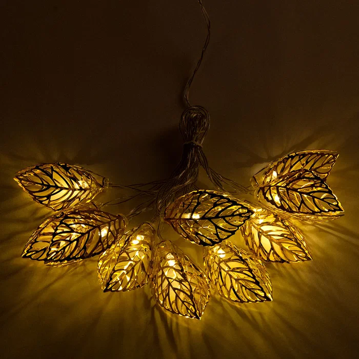 Guirlande LED Intérieur 2M Blanc Chaud [HO-XMAS-046-IP20-2M-WW]