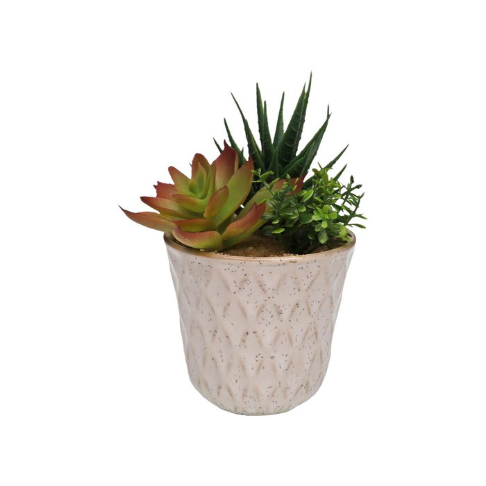 Plante décorative Versa Céramique Plastique Fusion Succulent 7,8 X 14 X 7,8 CM
