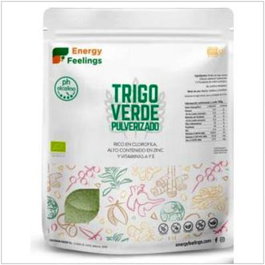 ENERGY FEELINGS Herbe de blé vert biologique en poudre 1 kg