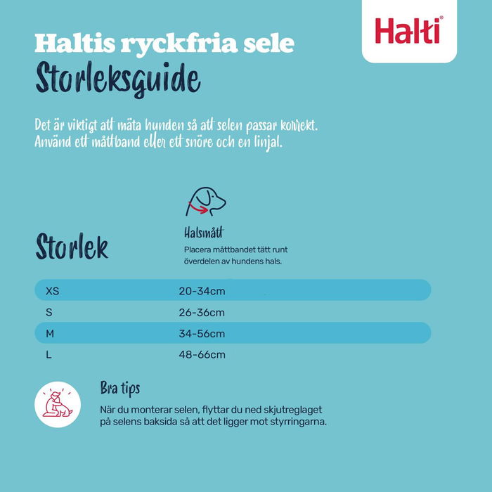 Harnais pour Chien Company of Animals FOREST Vert L