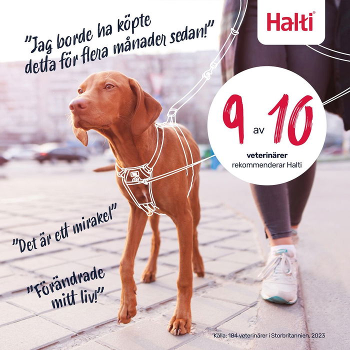 Harnais pour Chien Company of Animals FOREST Vert L