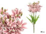 Ibergarden Vara 5 Branches 20 Fleurs Rose Vieilli 55 cm Plastique (Set de 12)