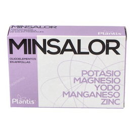 Minsalor