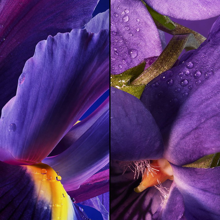 Guerlain L'Heure Bleue Eau de Toilette Vaporisateur Femme 75 ml