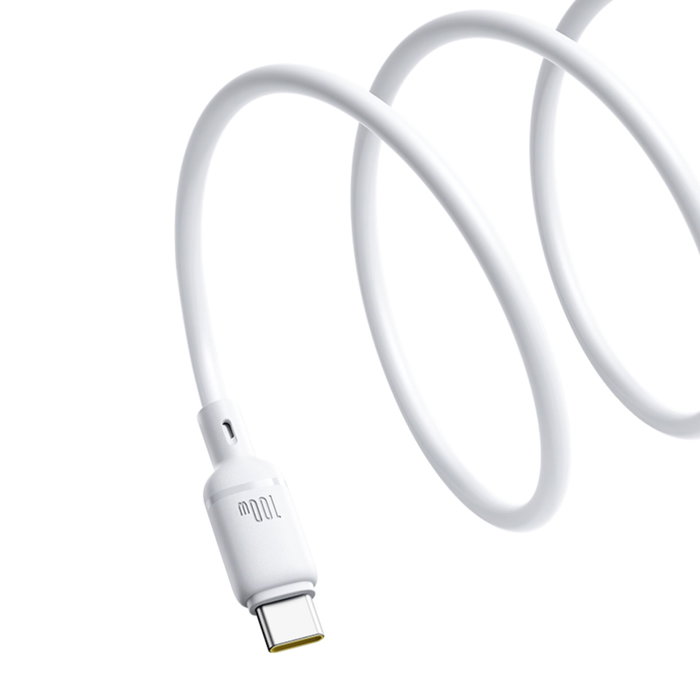 Baseus Silky Series câble de charge Type-C à Type-C 100W 1m blanc