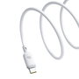 Baseus Silky Series câble de charge Type-C à Type-C 100W 1m blanc