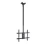 Tooq LPCE1175TSLI-XL-B Support Plafond TV VESA 32-75 Pouces Noir Inclinable Rotation