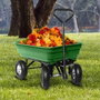 Elem Technic Chariot de jardin plastique avec benne basculante CHJP935051-250