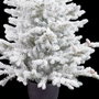 BigBuy Christmas Sapin de Noël Polyéthylène Ananas Enneigé 40 x 40 x 90 cm
