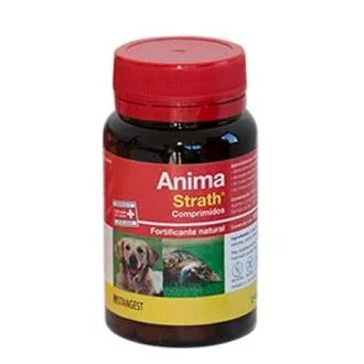 STANGEST VET Anima Strath 120 Comprimés Bote Vet Complément Alimentaire pour Chien STANGEST VET Anima Strath 120 Comprimés Bote Vet Complément Alimentaire pour Chien