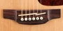 Takamine GD93CE
